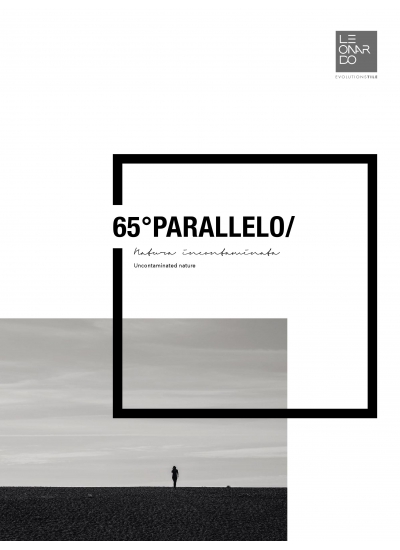 65 PARALLELO冰島