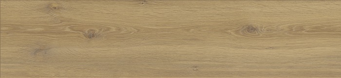 Advanced_45363.0001_Seetaler Eiche