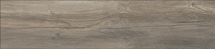 Advanced_45363.0004_Tuxer Eiche