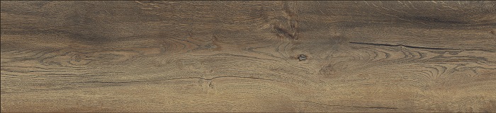 Advanced_45363.0003_Loferer Eiche