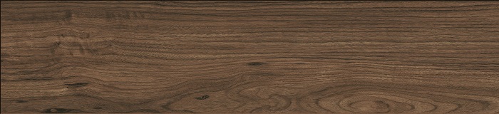 45365_2905 Nussbaum Barcelona