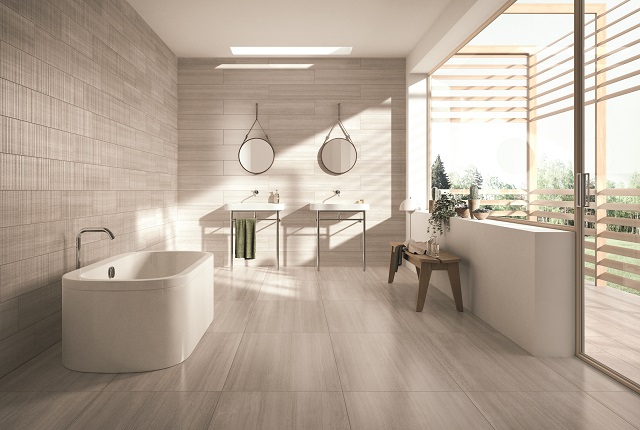 Silk Georgatte灰絲木