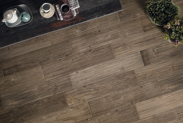 Assid' alpe亞馬遜